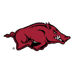 /images/NativeArtwork/Arkansas Razorbacks.jpg